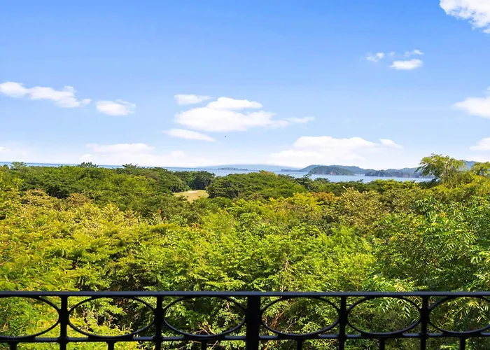 Treetop Ocean View Penthouse - Jobo 15
