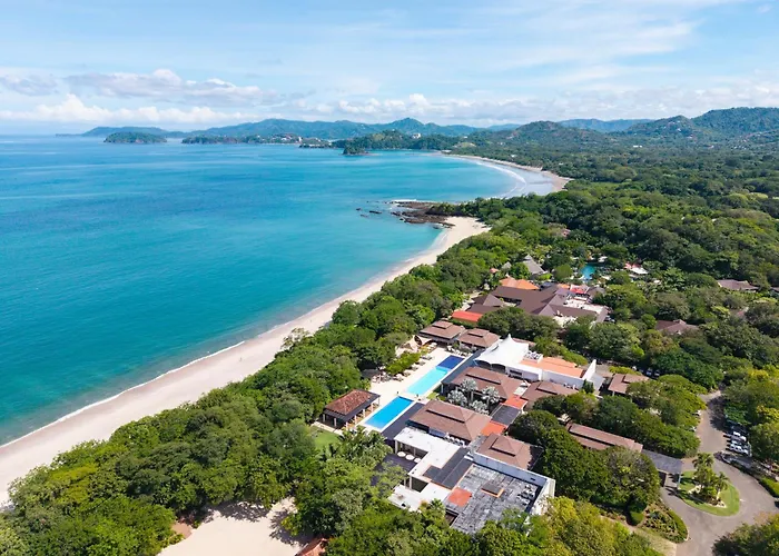 Treetop Ocean View Penthouse - Jobo 15