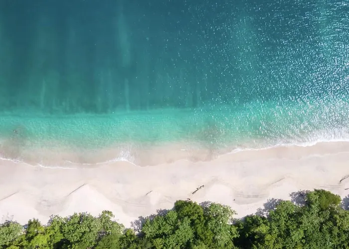 Apartamento Treetop Ocean View Penthouse - Jobo 15