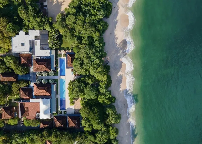 Treetop Ocean View Penthouse - Jobo 15